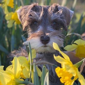 Meet your Posher, Betsy